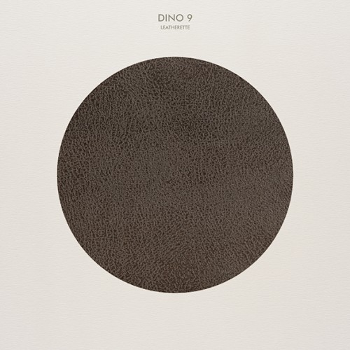 Dino 9